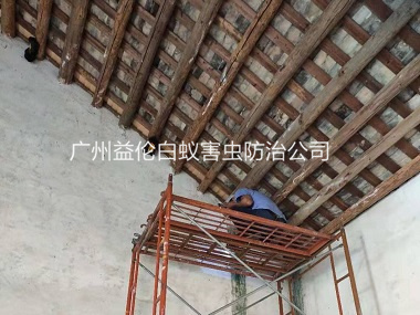 黄埔祠堂房屋白蚁防治工程