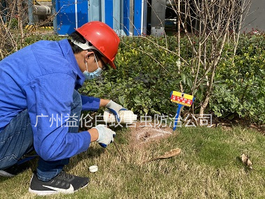 黄埔园区红火蚁防治工程